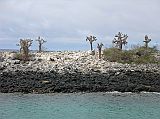 Galapagos 2-2-01 Santa Fe Sea Lions On Peninsula